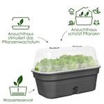 green basics anzucht schale allin1 m living schwarz